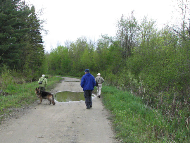 Going for a hike along Concession 10