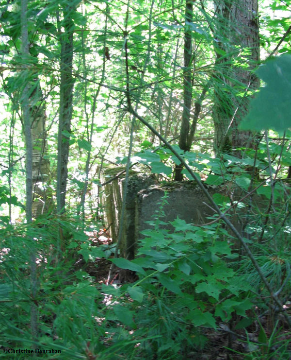 Old schoolhouse foundations