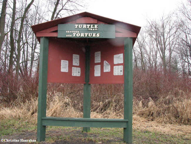 Turtle Trail