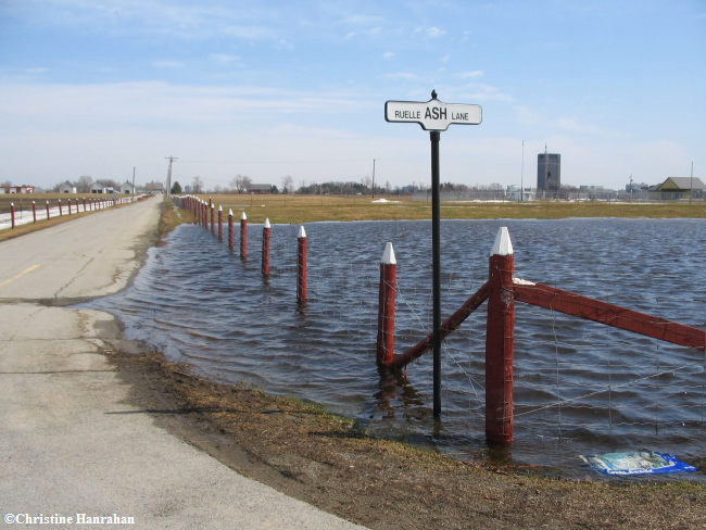 Late winter flooding