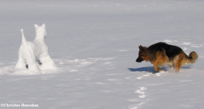 Approach with caution!