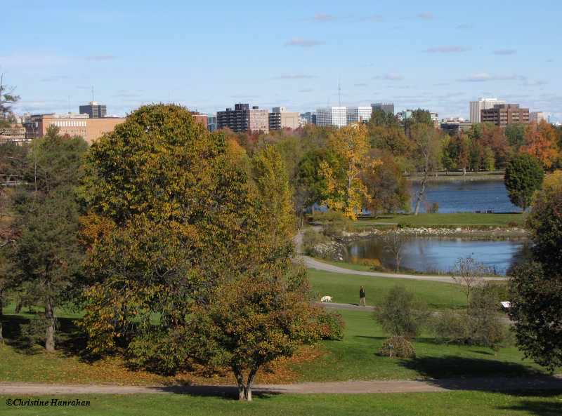 Looking over Ottawa from the Arboretum