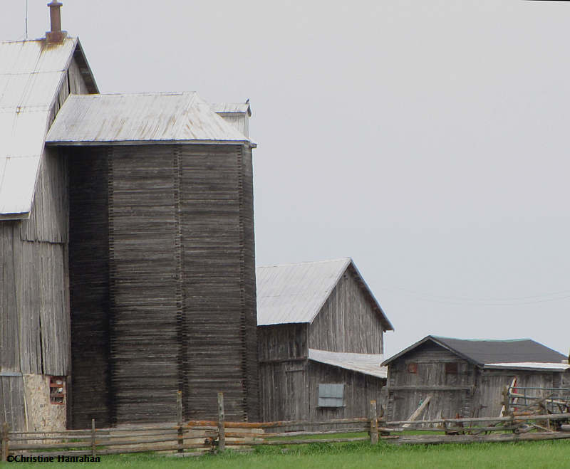 Valley Farmstead:  Lanark County