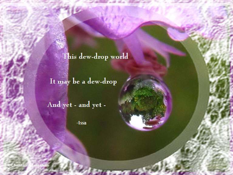 This dew-drop world