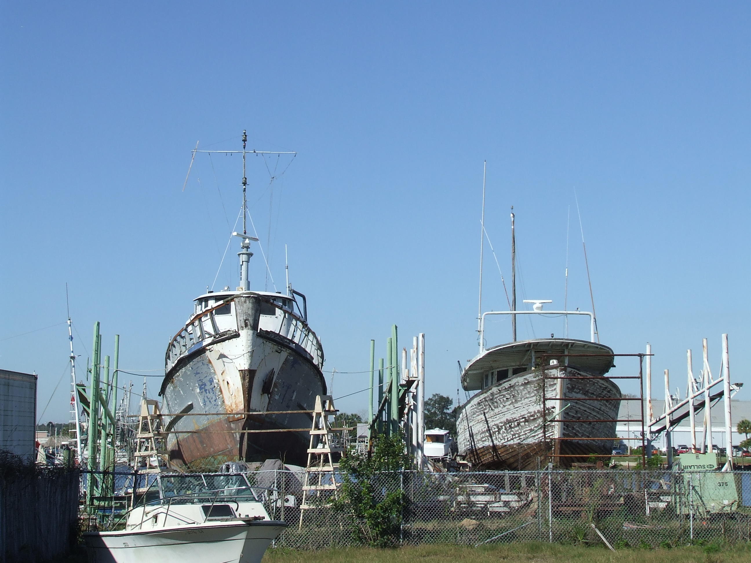 ALF_2008_0214_101254.JPG