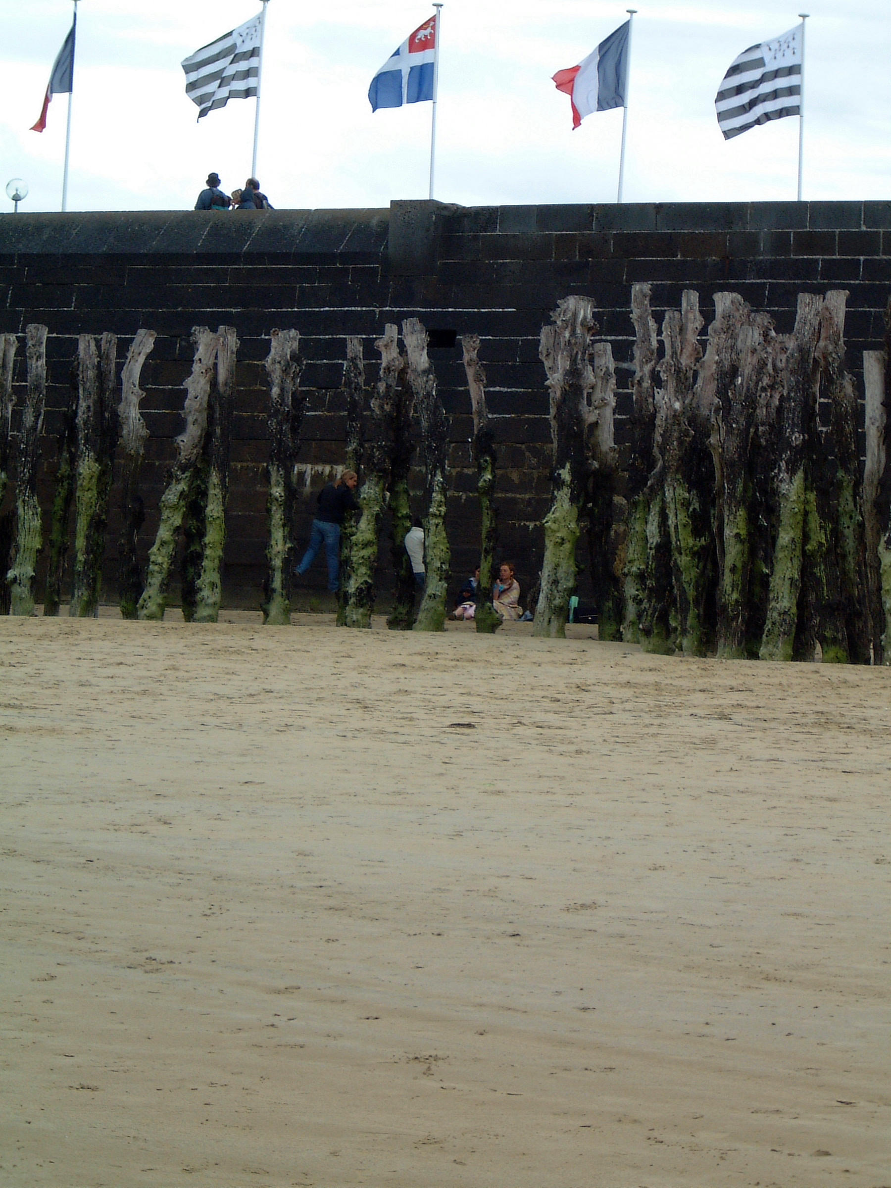 ALF_2004_0620_103154AA.JPG
