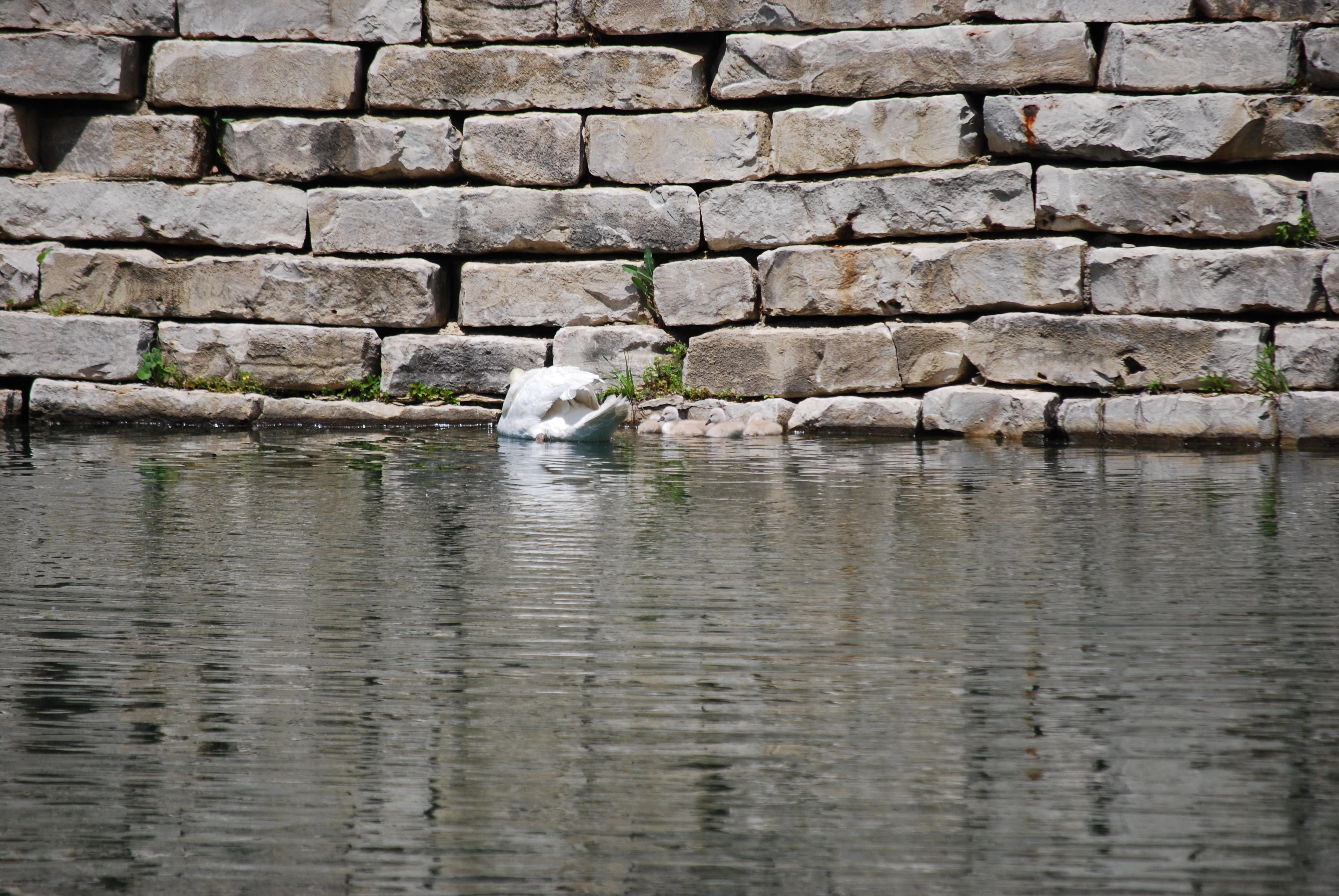 ALF_2009_0522_151928.JPG