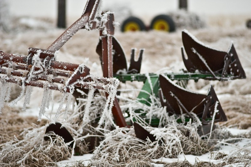 Winter Wonderland