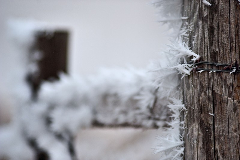 Winter Wonderland