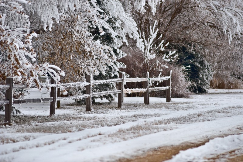 Winter Wonderland