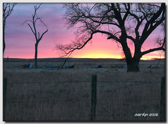 changing shades of morning skies ... 