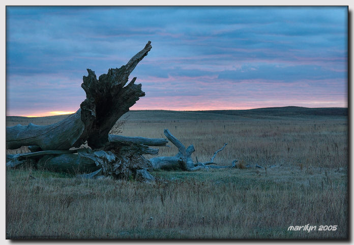changing shades of morning skies ... 