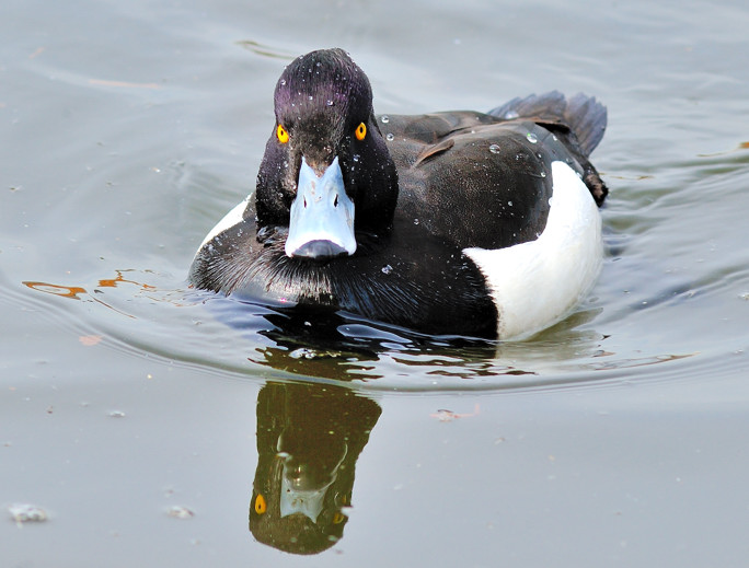 Angry Look after Emerging