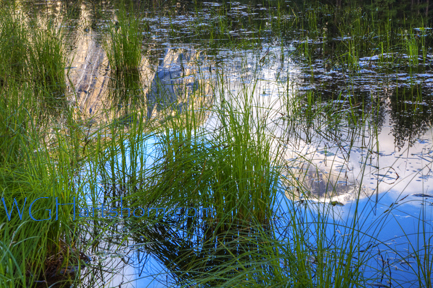 Half Dome Reflections