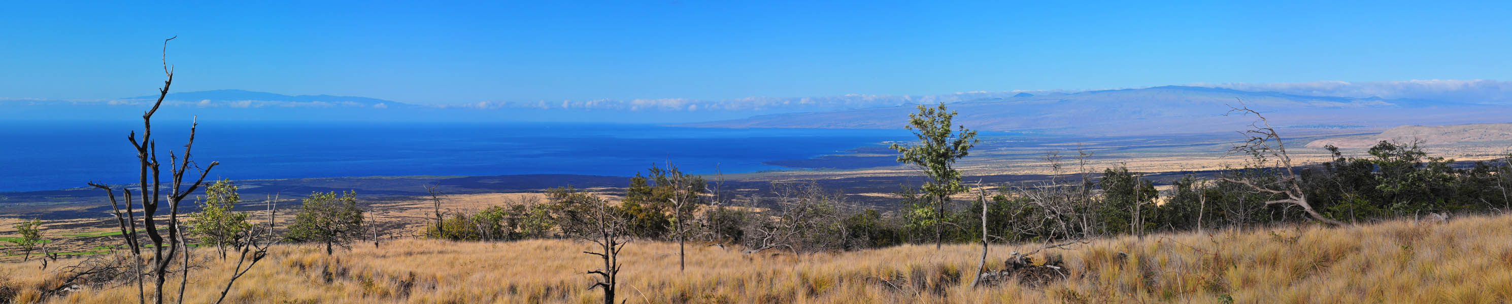 maui and kohala