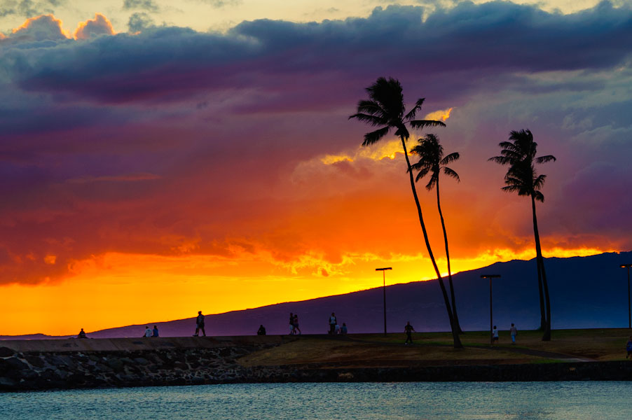 magic island