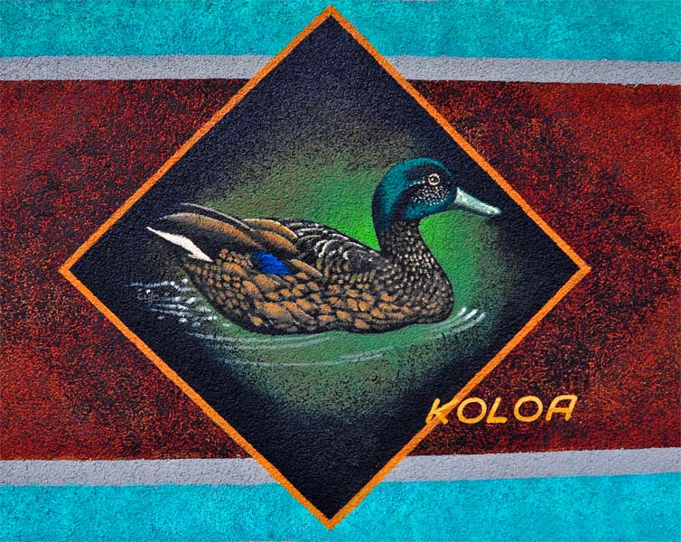 koloa