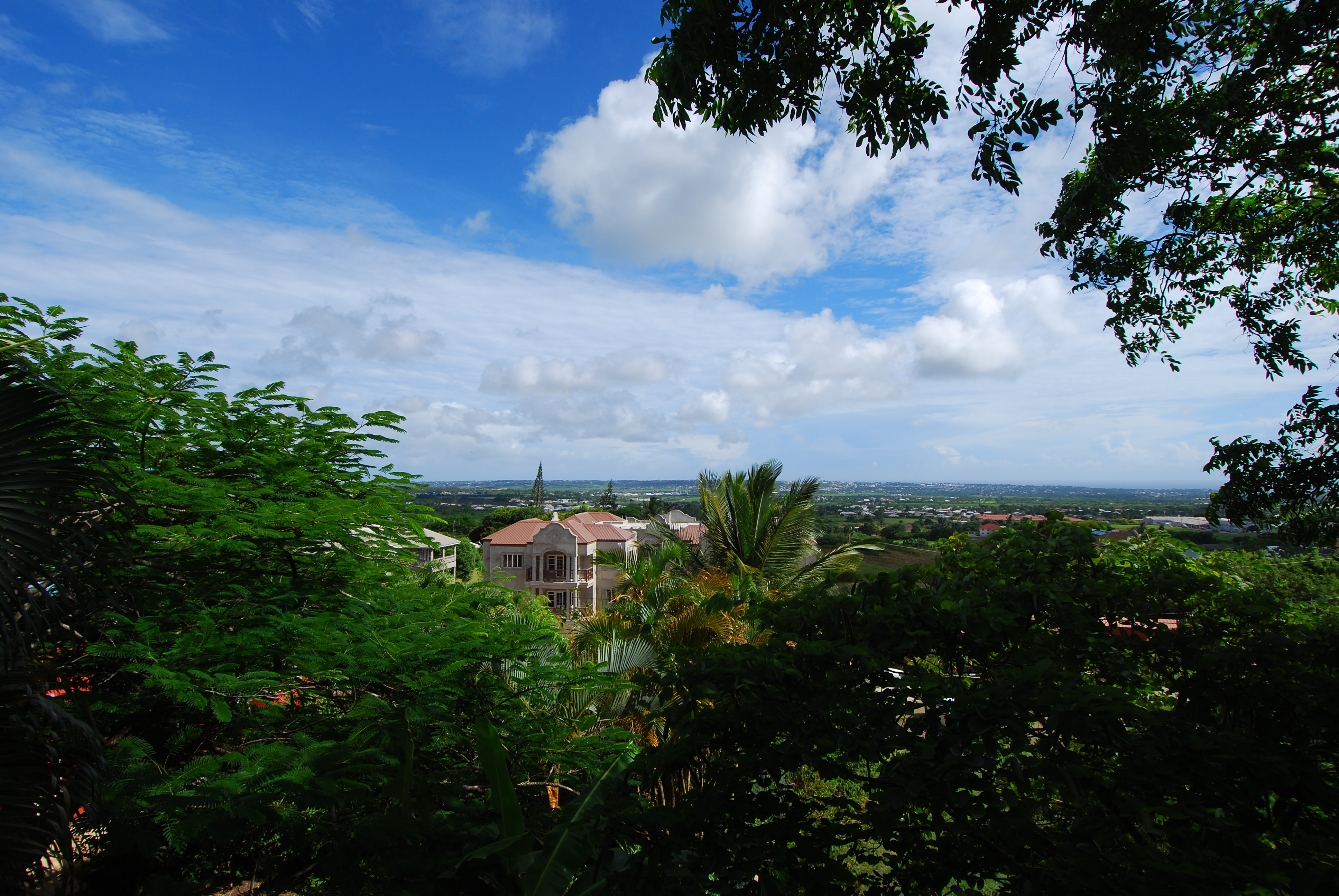 DSC_0595.JPG