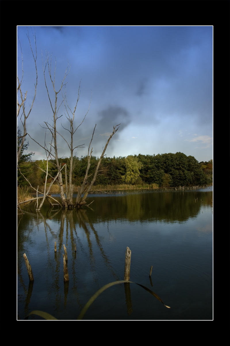 2009 - Seton Park