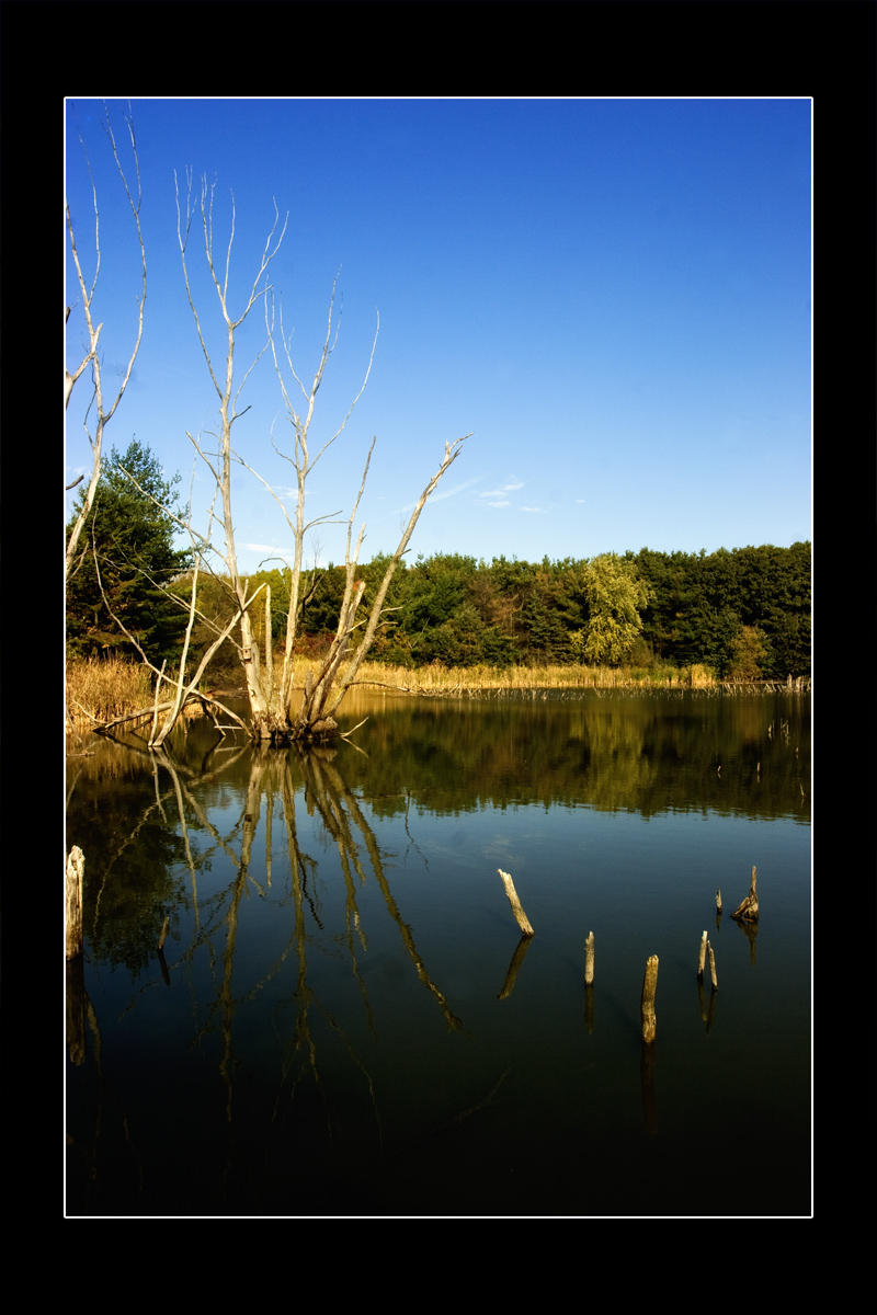 2009 - Seton Park