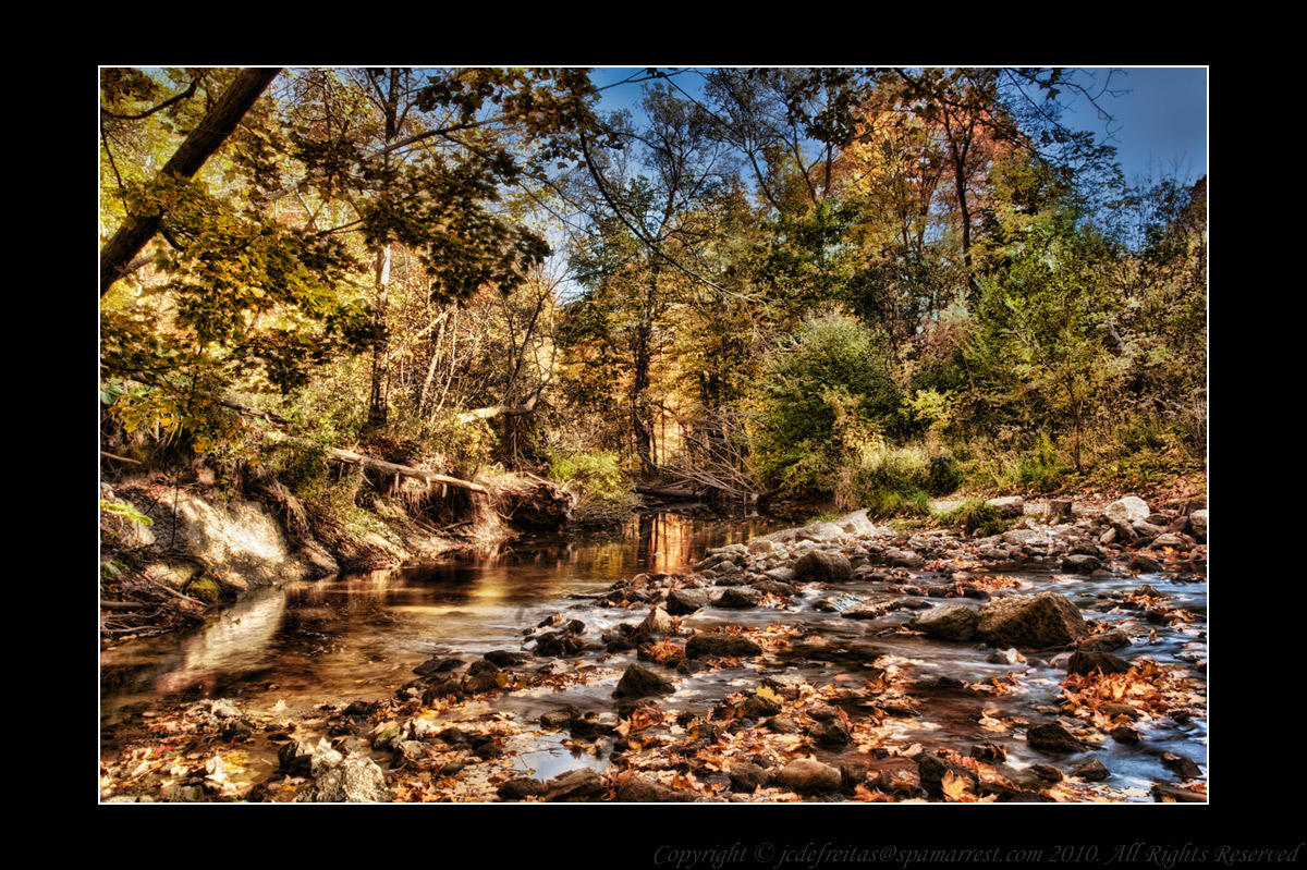 2010 - Wilket Creek Park