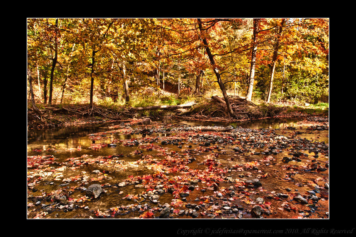 2010 - Wilket Creek Park
