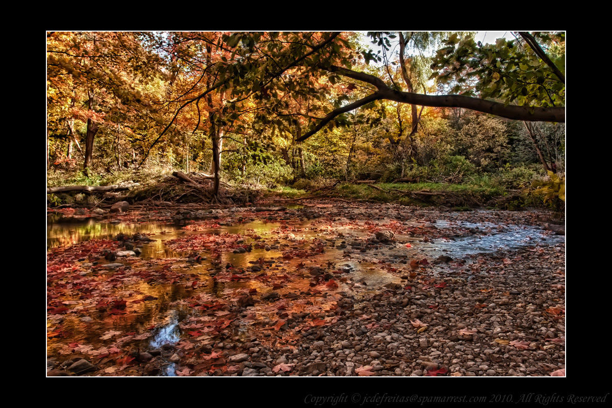 2010 - Wilket Creek Park