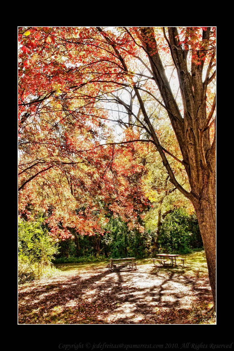2010 - Sunnybrook Park