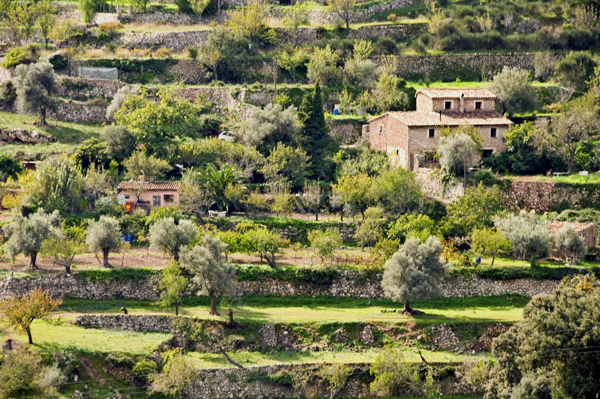 Alentours de Valldemossa