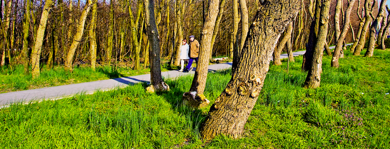 Promeneurs
