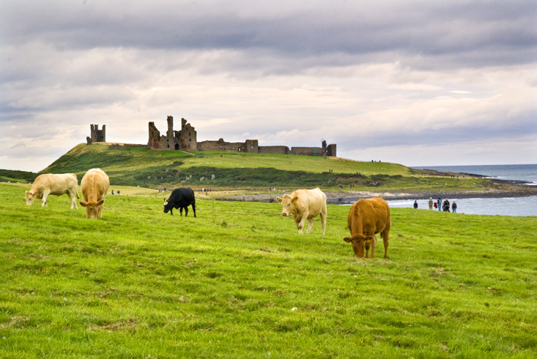 Dunstanburgh Castle