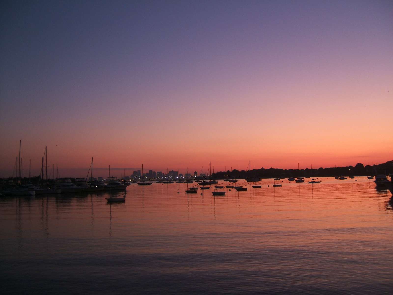 DSCF8199.JPG
