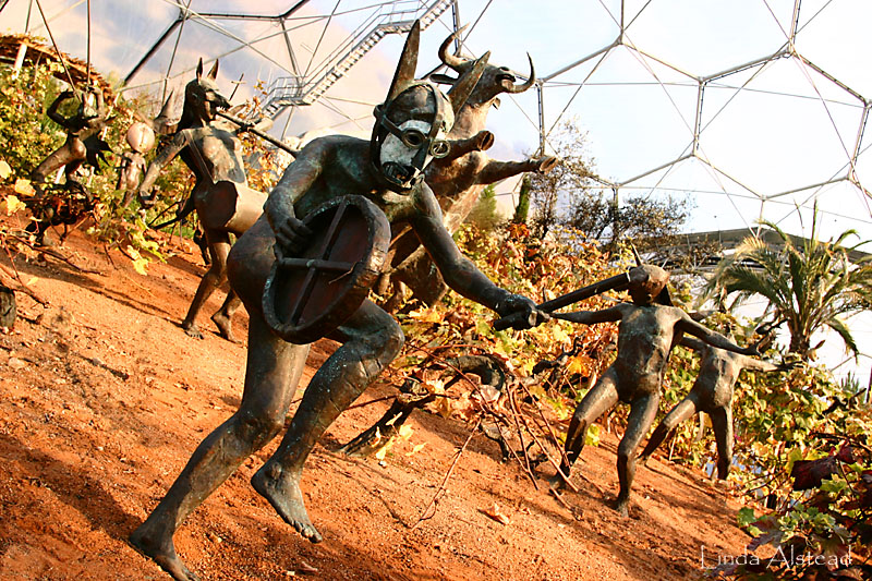 20th November 2005 - protecting the vines!!