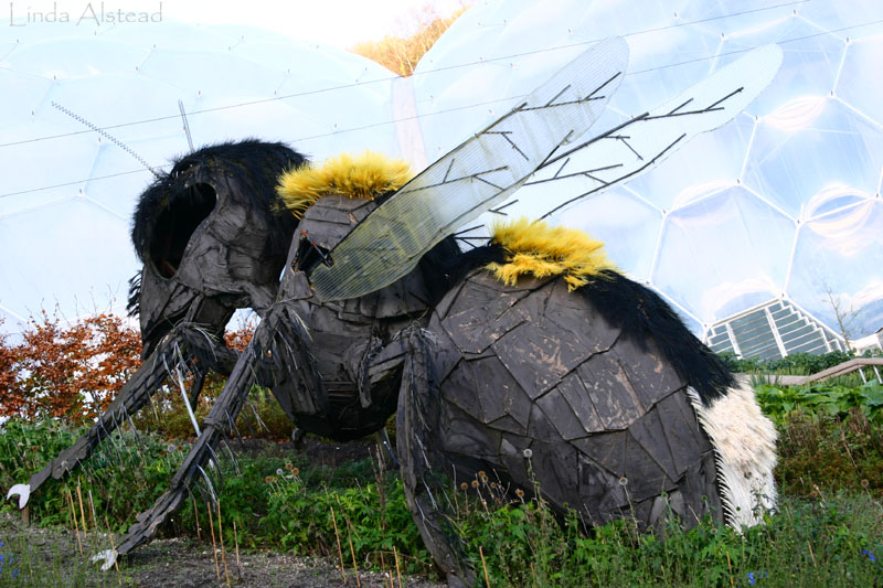 giant bee by Robert Bradford