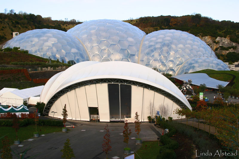 biomes and ice rink