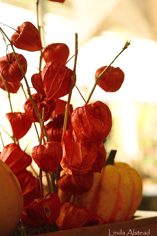 lanterns