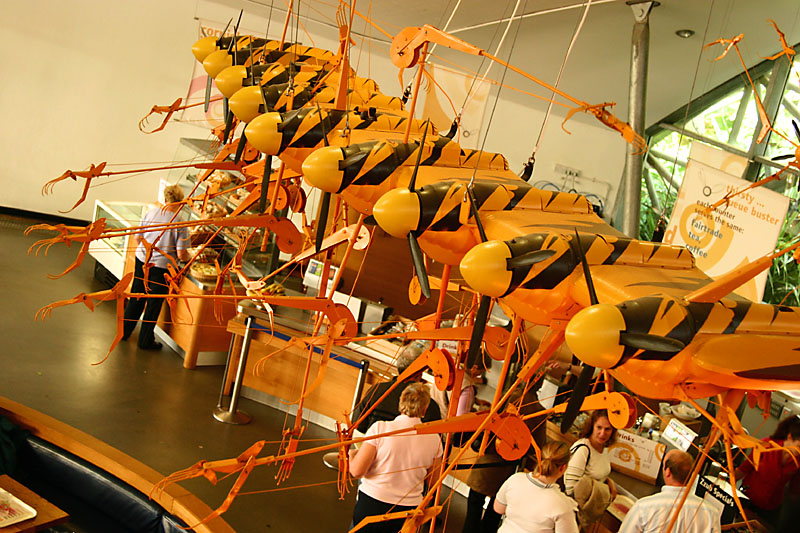 squadron of bees