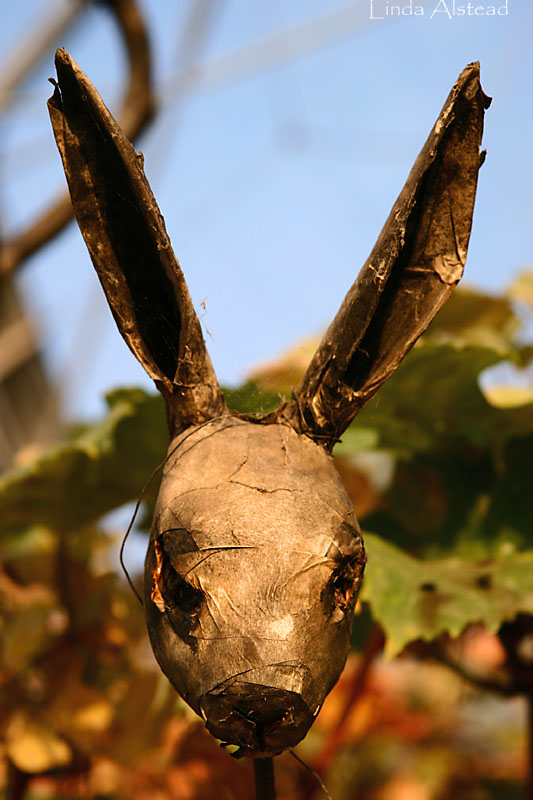 wabbit