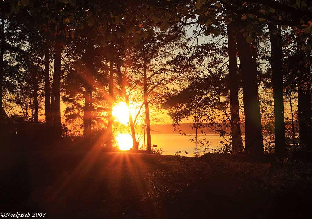 SunLight December 18