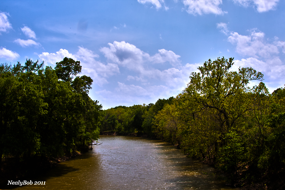 DArbonne Bayou May 2