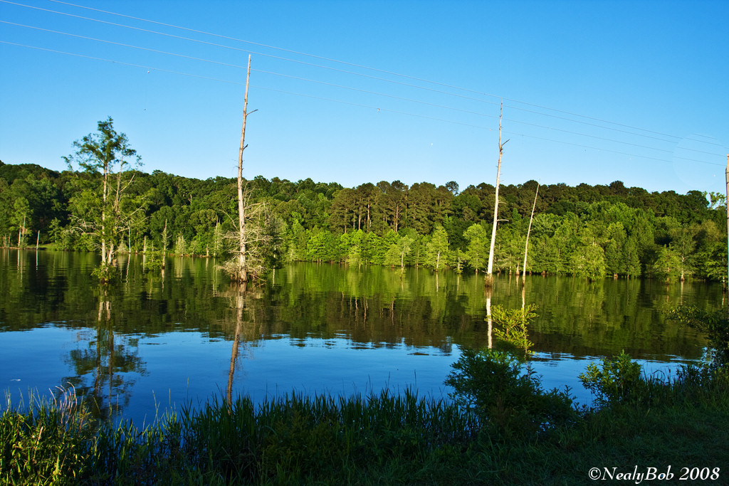 By The Lake May 21