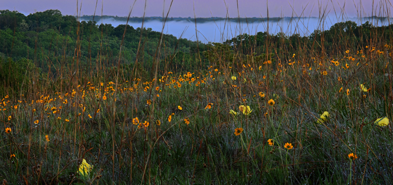 sunrise on the Glade