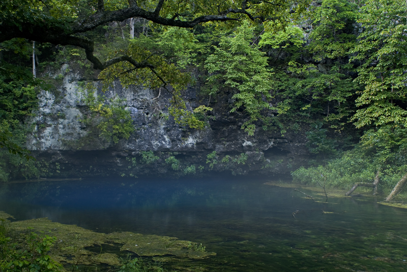 Blue Springs