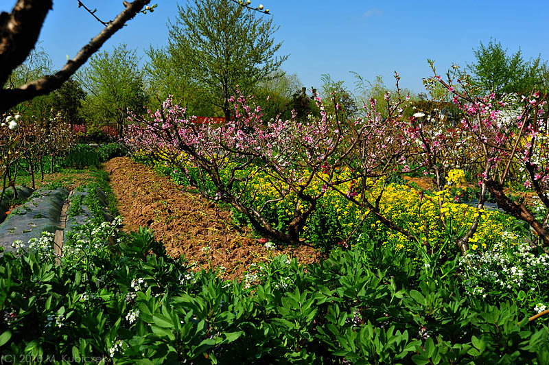 d7003 030.jpg