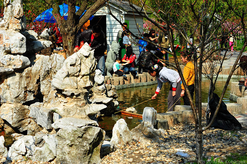 d7003 042.jpg