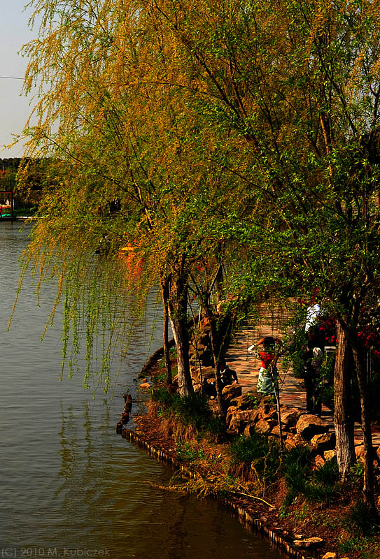 d7003 049.jpg