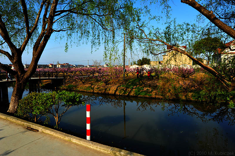 d7003 124.jpg