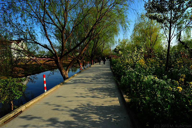 d7003 134.jpg