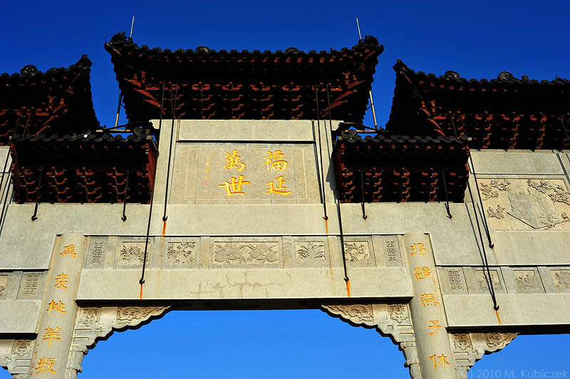 d7003 141.jpg