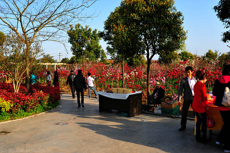 d7003 143.jpg